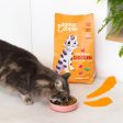 Edgard & Cooper Cat - Pollo allevato a terra Online