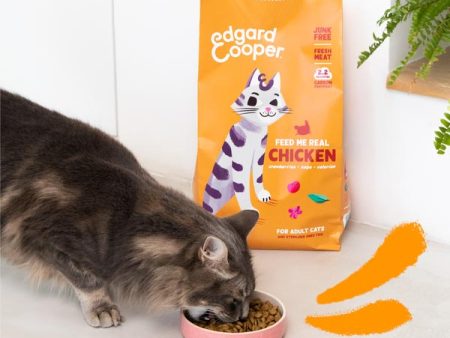 Edgard & Cooper Cat - Pollo allevato a terra Online