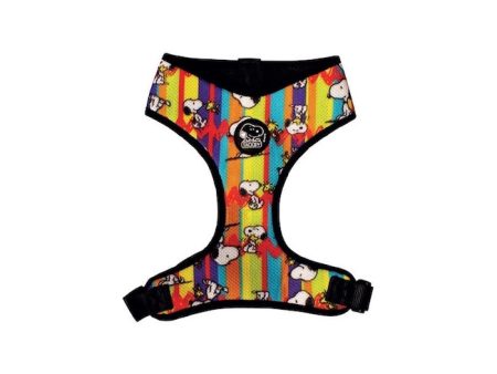 Pettorine Jack Body Charlie Brown Stripe Online Sale