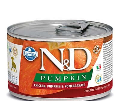 N&D Pumpkin Dog Pollo, Zucca e Melograno PUPPY on Sale