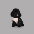 United Pets - Dolcevita Warmy Nero e Beige Online Sale