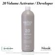 Nook Activators   Developers Discount