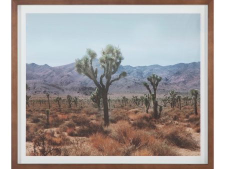 Desert Land Framed Print For Sale