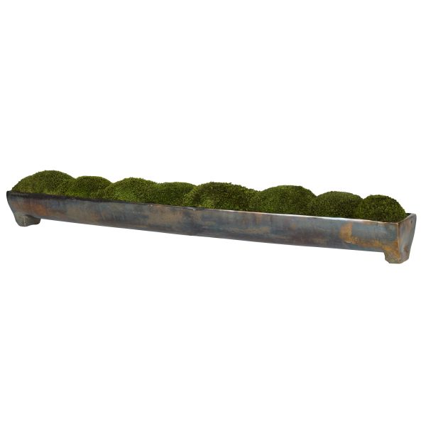 Canal Moss Centerpiece Online