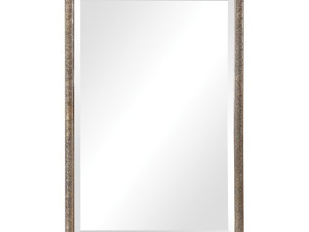 Barree Antiqued Champagne Mirror Supply