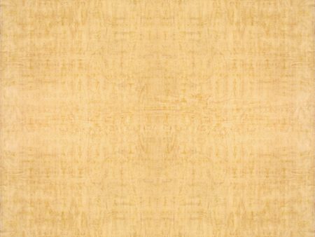 Antique Savonnerie Collection Lamb s Wool Area Rug-17  8  X 20  6  , Beige Online