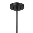 Holgate 1 Light Black Pendant on Sale