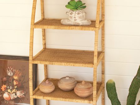 Woven Cane Shelving Unit For Discount