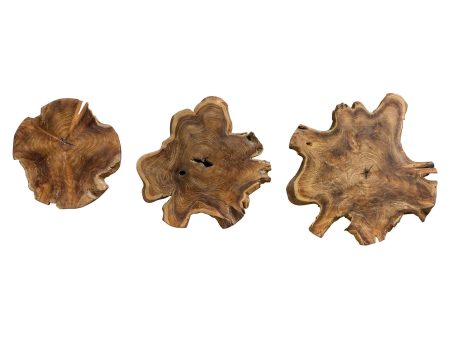 Kalani Teak Wall Art Set 3 For Cheap