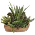 Salar Succulents In Teak Bowl Supply