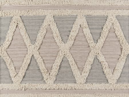 Contemporary Hand Woven Beige Rug Discount