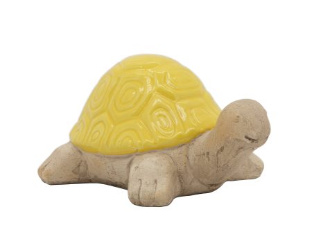 10  Tortoise, Yellow For Discount