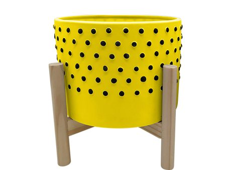 10  Dotted Planter W  Wood Stand, Yellow Supply