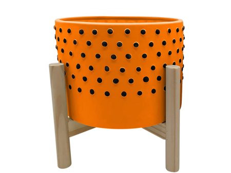 10  Dotted Planter W  Wood Stand, Orange Discount