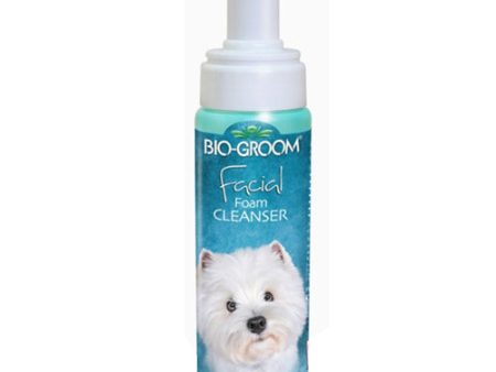 Bio Groom Facial Foam Cleanser 1 Each 8 Oz by Bio Groom Online now