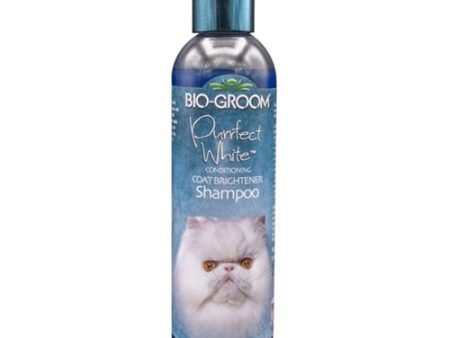 Bio Groom Purrfect Shampoo for Cats and Kittens 1 Each 8 Fl. Oz by Bio Groom Sale